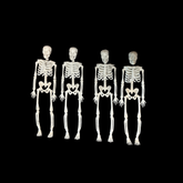 PACK ESQUELETOS DECORATIVOS GRANDE